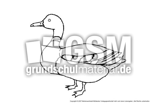 Ente-2.pdf